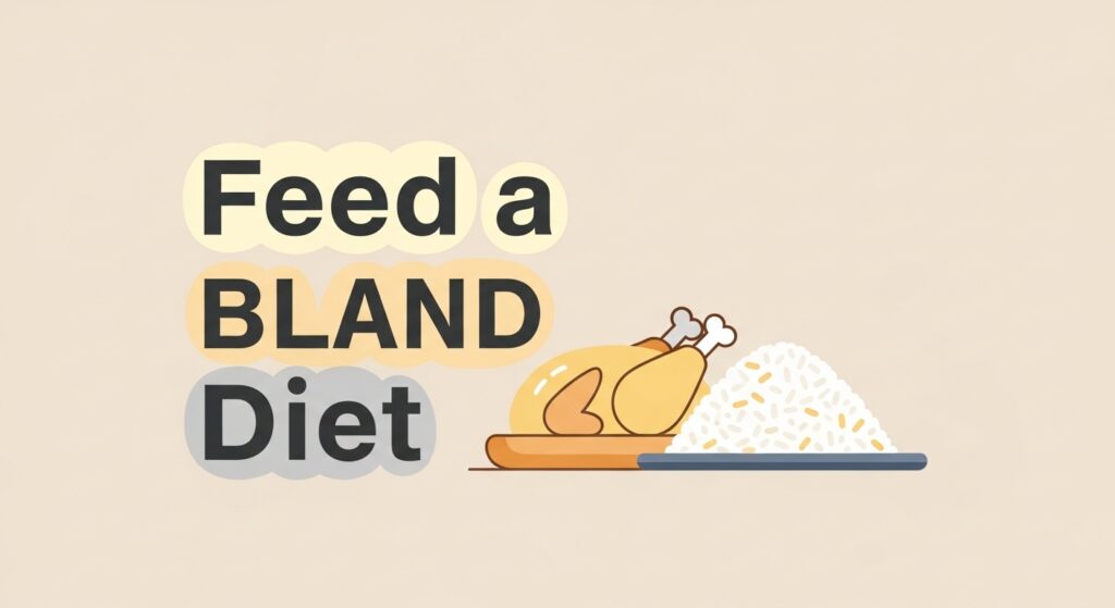 15-best-tips-on-what-to-give-dogs-for-diarrhea-that-really-work