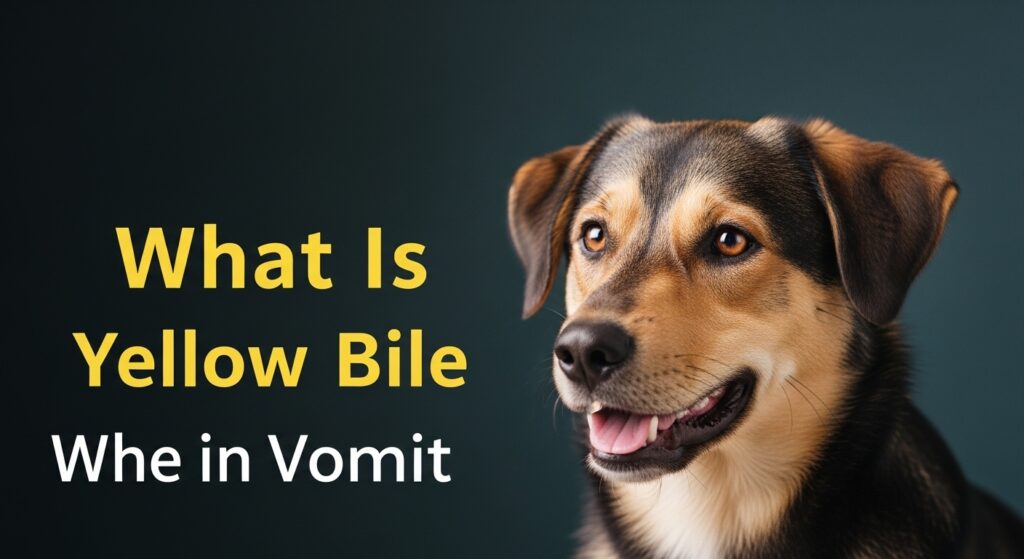 dog-throwing-up-yellow-bile-causes-emergency-signs-and-complete-treatment-guide-2025